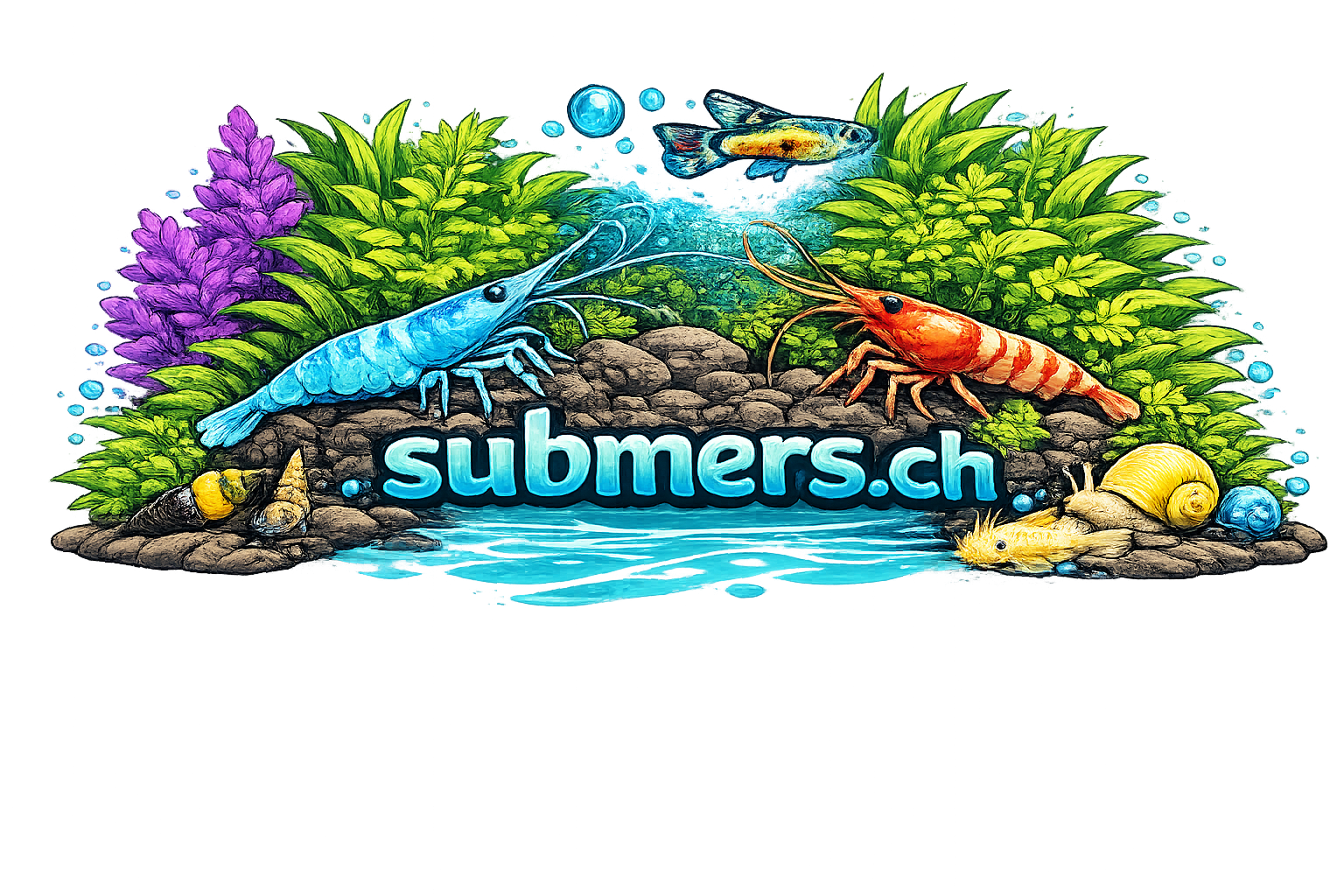 submers.ch